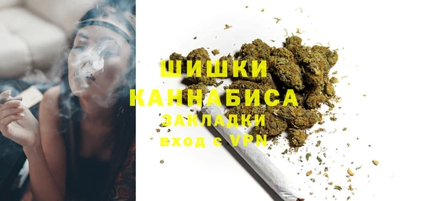 индика Белоозёрский