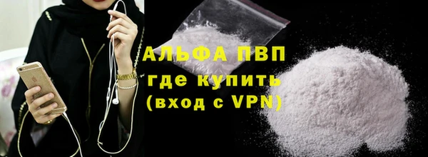 индика Белоозёрский