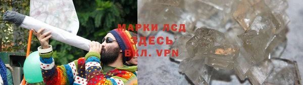 индика Белоозёрский