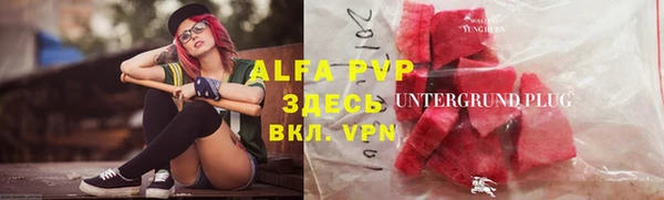 индика Белоозёрский