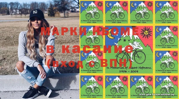 индика Белоозёрский