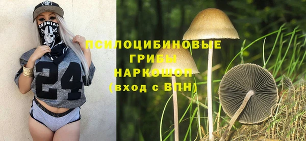 индика Белоозёрский