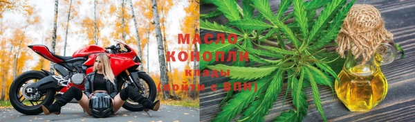 индика Белоозёрский