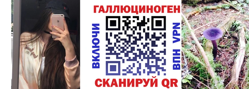 Купить  Кувшиново  Галлюциногенные грибы мухоморы 
